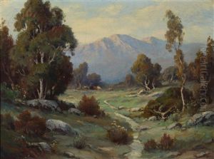 Stream Through A Mountain Landscape Stream Through A Mountain Landscape