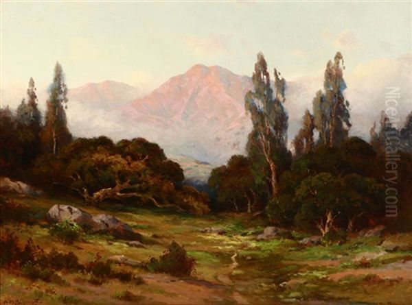 Path Through A Foothill Landscape - view 1