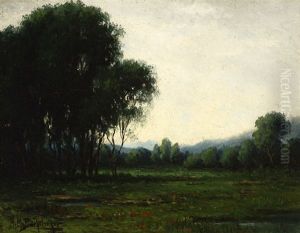 Eucalyptus Landscape