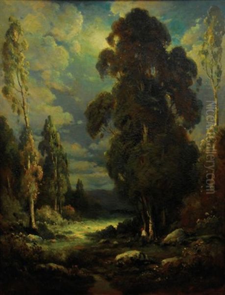 Moonlight Night (ojay Valley, California) - view 1