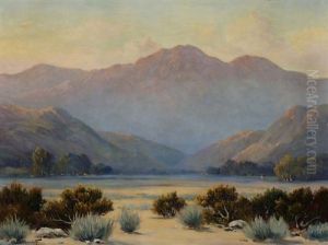 Sunlit Glow On A Desert Landscape
