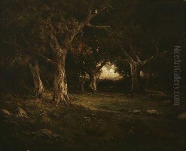 Live Oaks - view 1