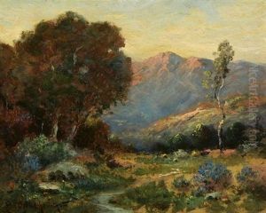 Stream In Foothill Landscape