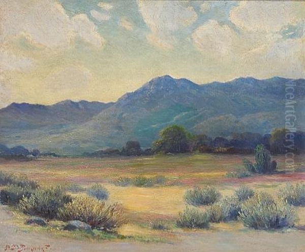 The Desert In Bloom - view 1