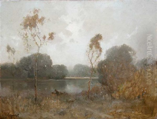 Hazy Eucalyptus River Landscape - view 1