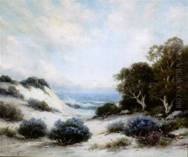 Carmel Sand Dunes, California - view 1