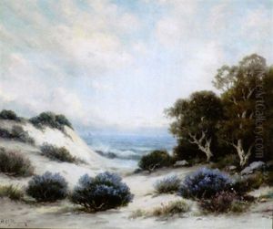 Carmel Sand Dunes, California by Alexis Matthew Podchernikoff
