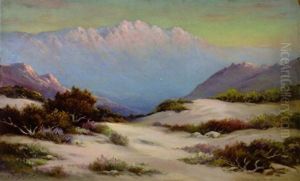 A Desert In Bloom At Sunrise
