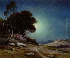 A Path In The Moonlight by Alexis Matthew Podchernikoff