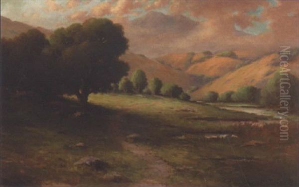 Mt. Tamalpais, California - view 1