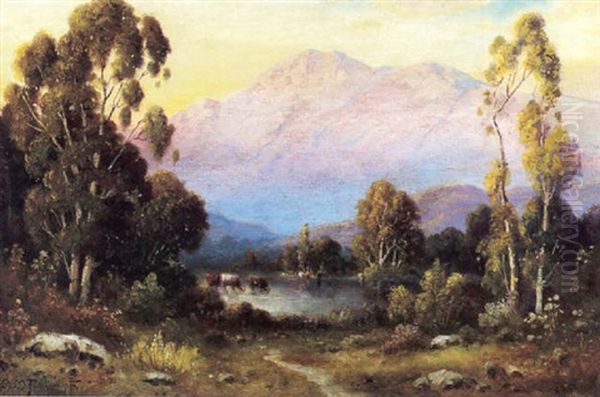 Tranquil Hour - view 1
