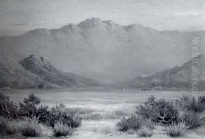 Southwestern Landscape