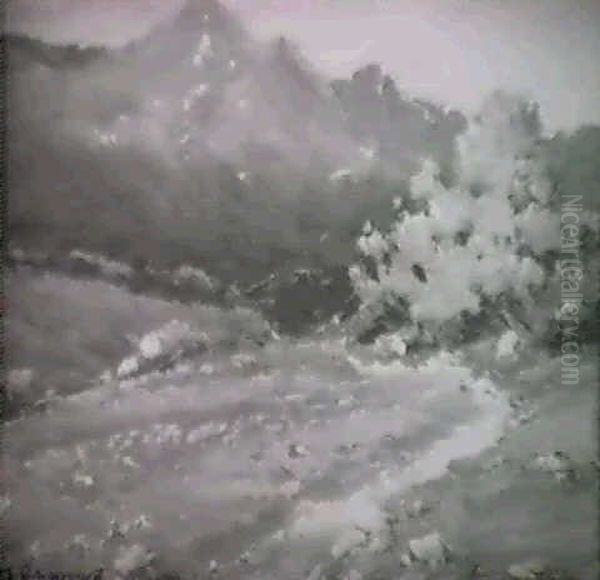 Mountainous Spring Landscape - view 1