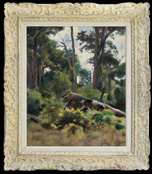 Woods In Fontainebleau - view 1