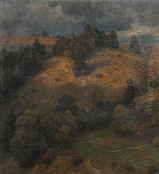 Hugelige Landschaft - view 1