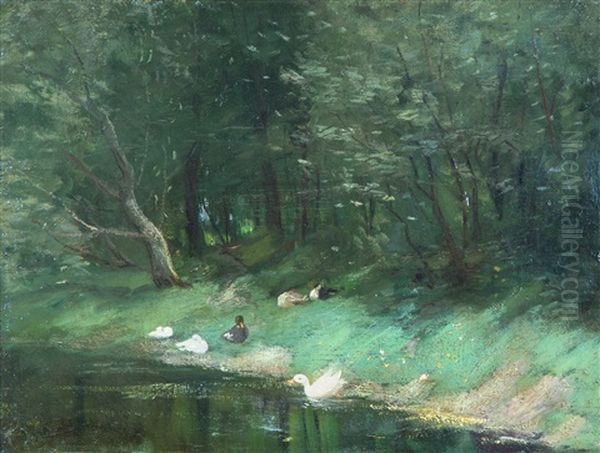 Ducks On A Riverbank - view 1