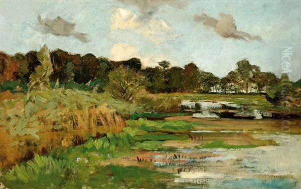 River Landscape - view 1