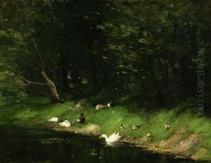 Enten Mit Kuken Am Bewaldeten Ufer Eines Teiches Enten Mit Kuken Am Bewaldeten Ufer Eines Teiches