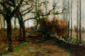 Wilgen
