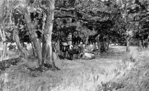 Cows In The Shade Of A Tree by Geo Poggenbeek