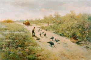 Sommerliche Feldlandschaft Sommerliche Feldlandschaft