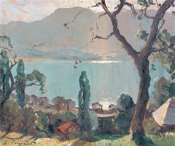 Vue De Lac En Montagne - view 1