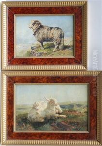 Ariete E Caprette (2 Works) Ariete E Caprette (2 Works)