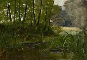 Waldteich Vor Einer Grotte