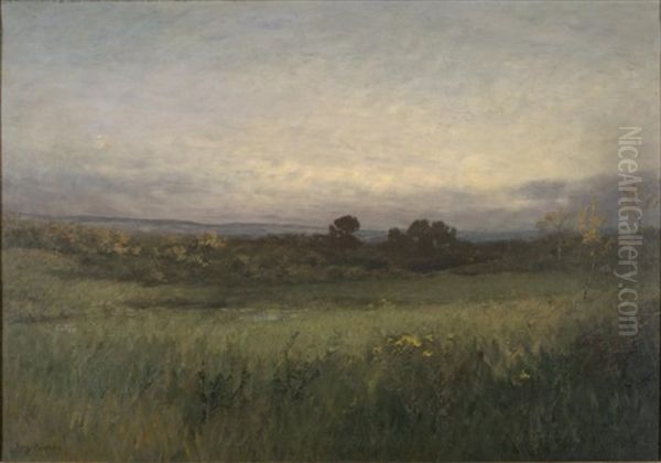 Ciel Gris - view 1