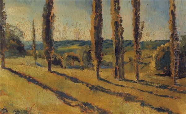 Contre-jour Matinal, Marcillat (allier) - view 1