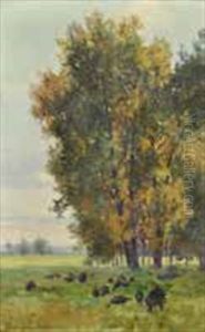Lichtdurchf Lutete Landschaft Mit Truthuhnerschar Auf Einer Waldlichtung Lichtdurchf Lutete Landschaft Mit Truthuhnerschar Auf Einer Waldlichtung