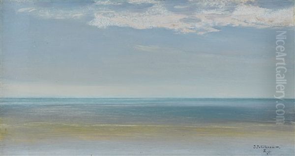 The Sea At La Panne - view 1
