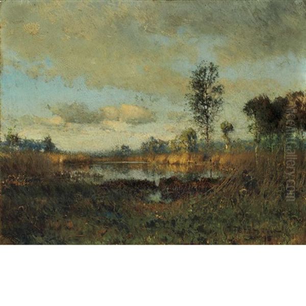 Etang Dans Les Landes - view 1