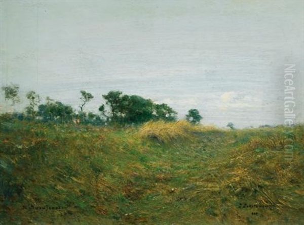Path Through The Grass - view 1