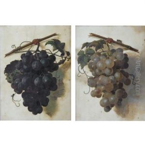 A Still Life Of Red Grapes (+ A Still Life Of Green Grapes; Pair) by Christiaen van Pol