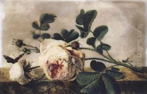 Branche De Roses Et Boutons Animee D'un Papillon, D'une Libellule Et D'une Mouche