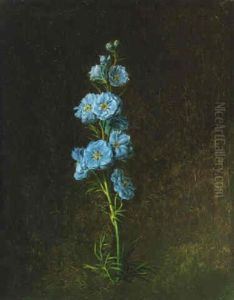 Ranuculus