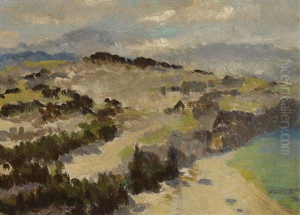 Hilly Landscape - view 1