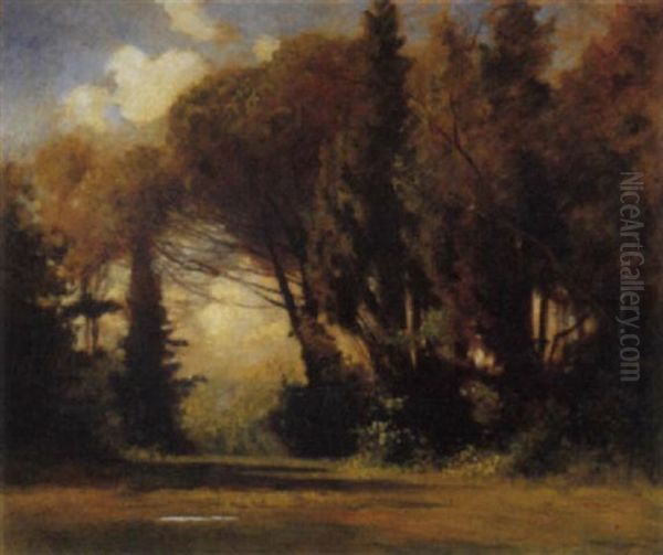 Luci Tra Gli Alberi, 1900 - view 1