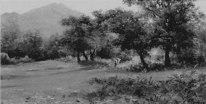 Woman Carrying A Basket Through A Grove Of Large Oak Trees