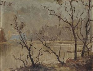 Paisaje Con Arboles Secos