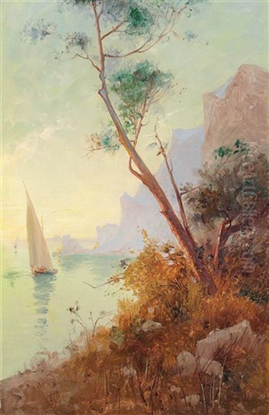 Kustenlandschaft In Sudfrankreich - view 1