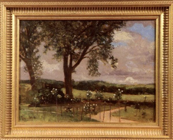 Paysage - view 1