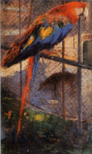 Papagei Im Zoo - view 1