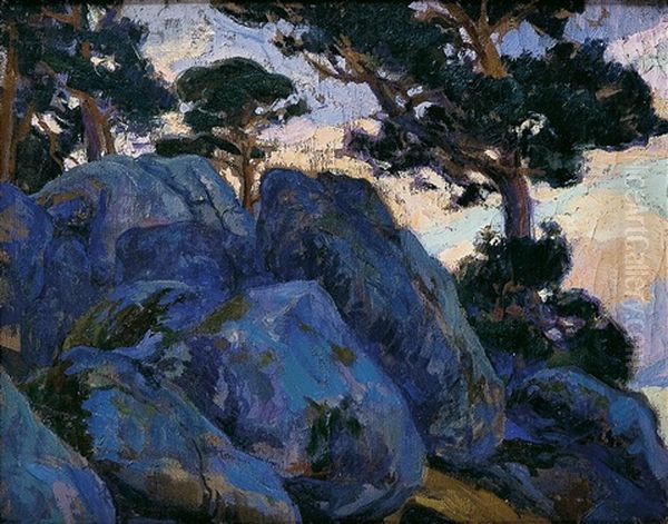 Paisaje - view 1