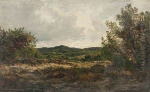 Paysage Sur L"ile De Porquerolles