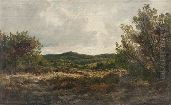 Paysage Sur L'ile De Porquerolles - view 1