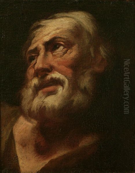 Testa D'uomo - view 1