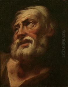 Testa D'uomo