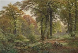 Small Woodland Clearing With Roe Deer